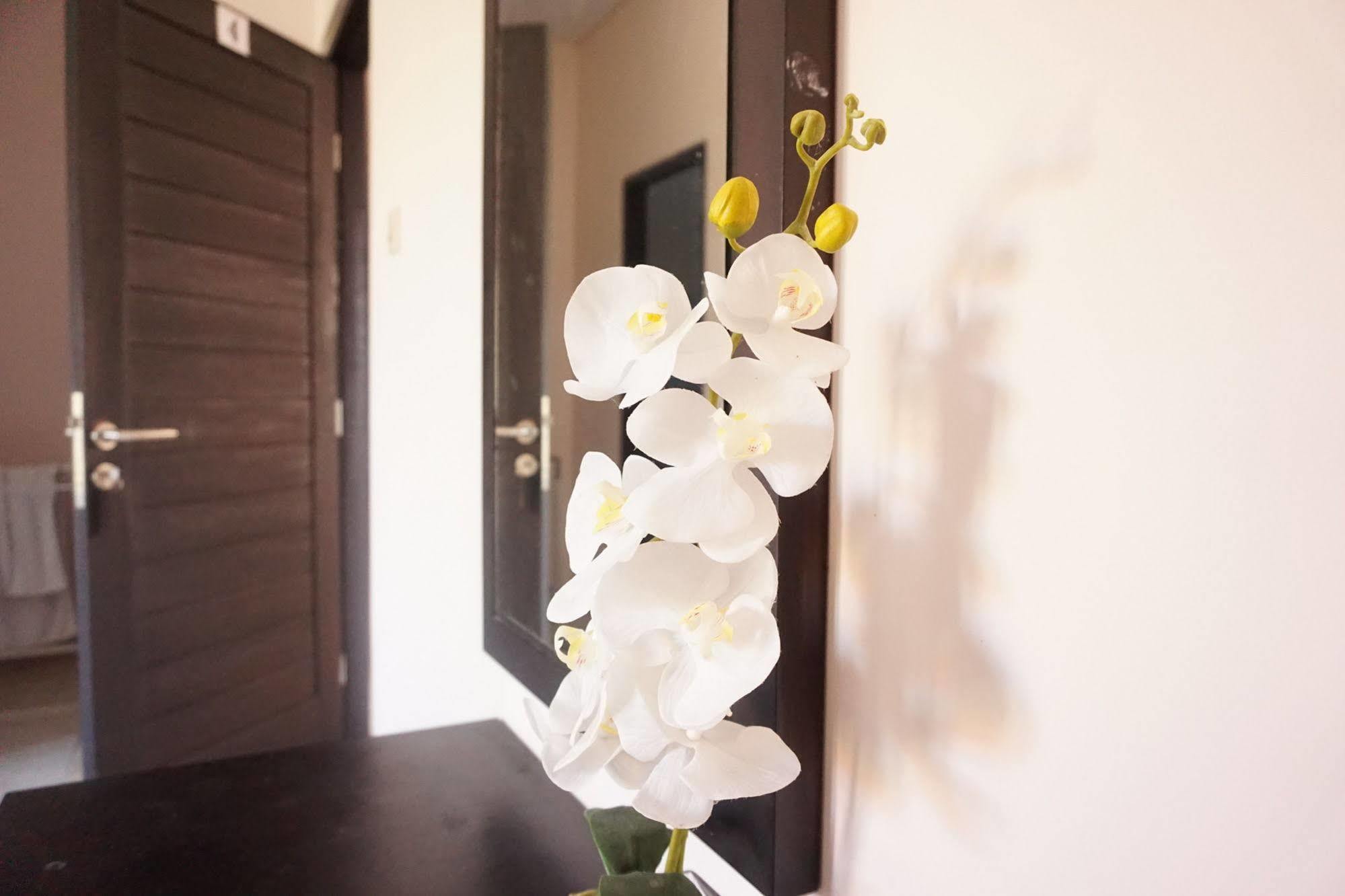 Cameng Homestay Denpasar Extérieur photo